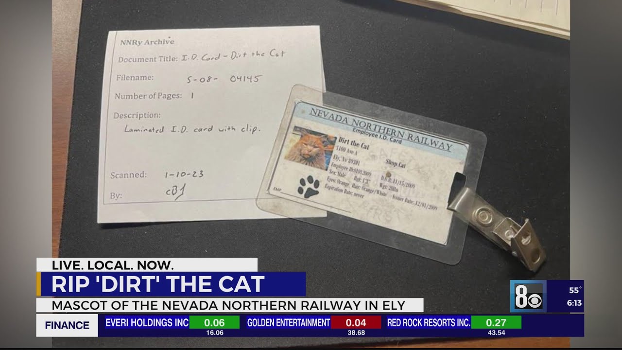 Dirt the Nevada Northern Cat: The story of how one cat changed the railway forever