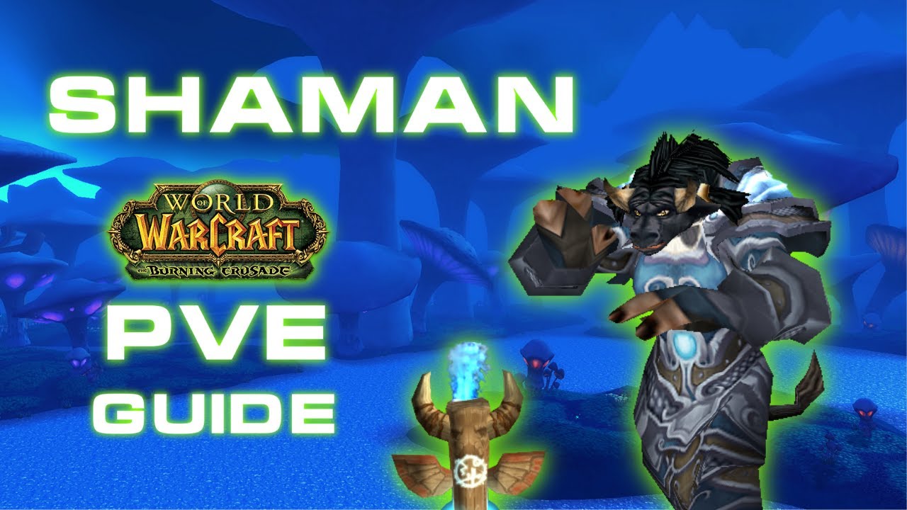 How to sucessfully start as Shaman in TBC // TBC Classic Shaman PvE Guide