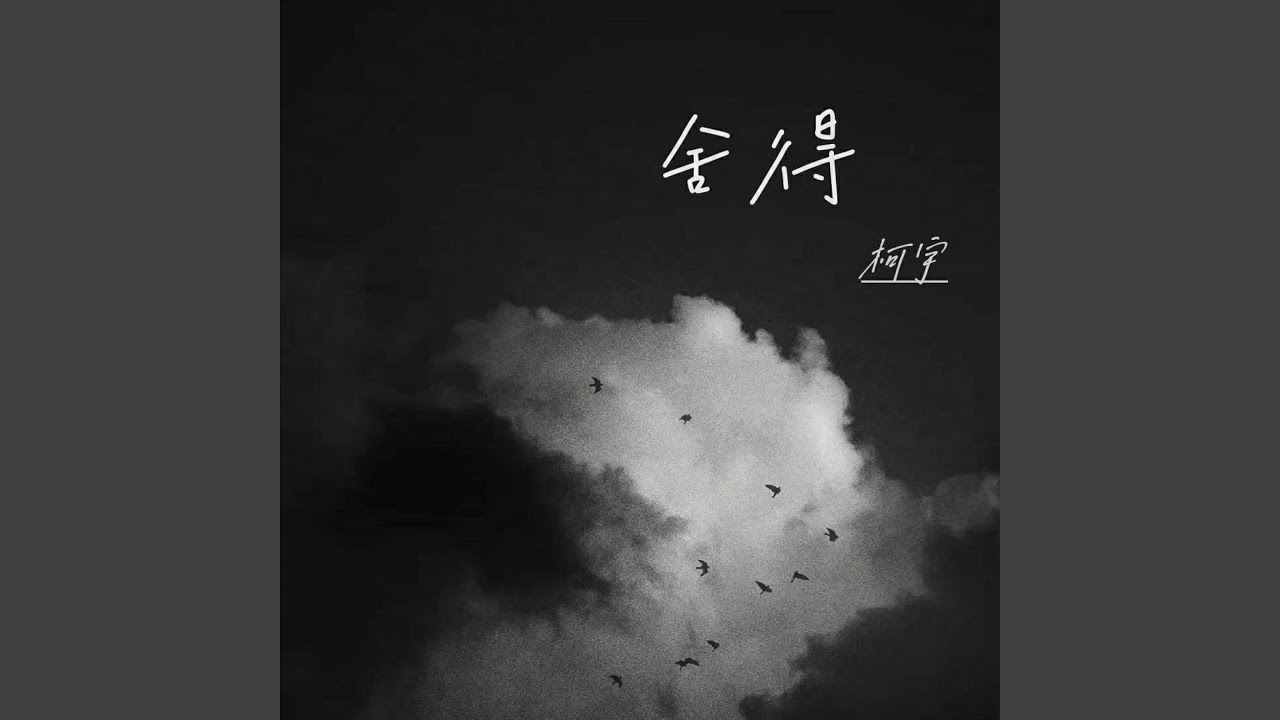 舍得