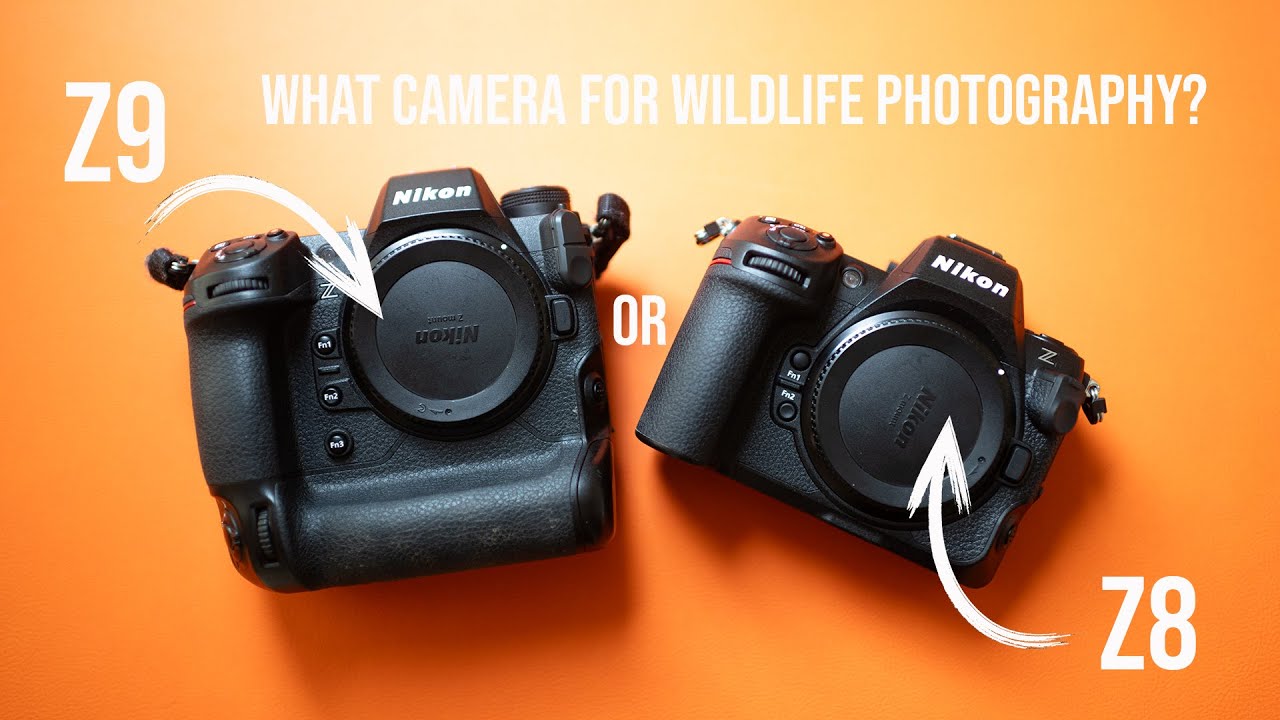 Nikon Z9 или Z8 для съёмки дикой природы? Какую камеру выбрать и почему у меня обе!