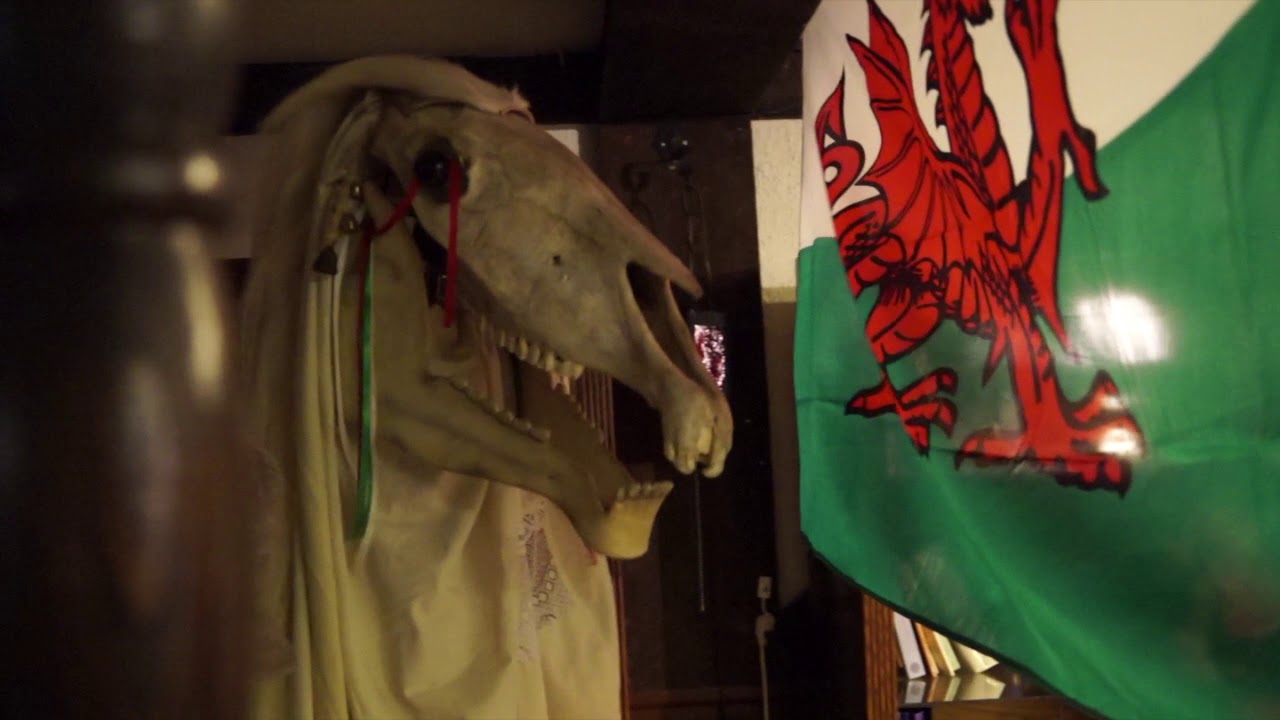 The Mari Lwyd at the Vancouver Welsh Society, November 2018