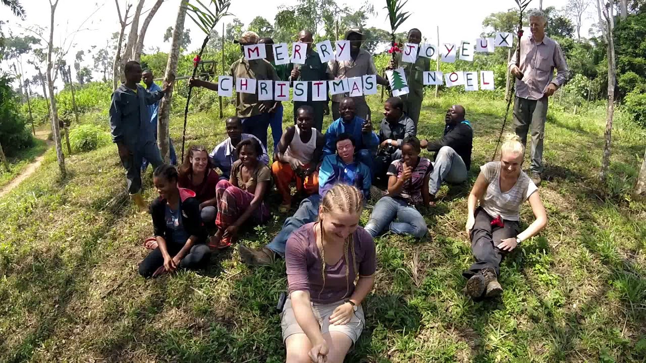 Six Months at Sanaga-Yong Chimpanzee Rescue
