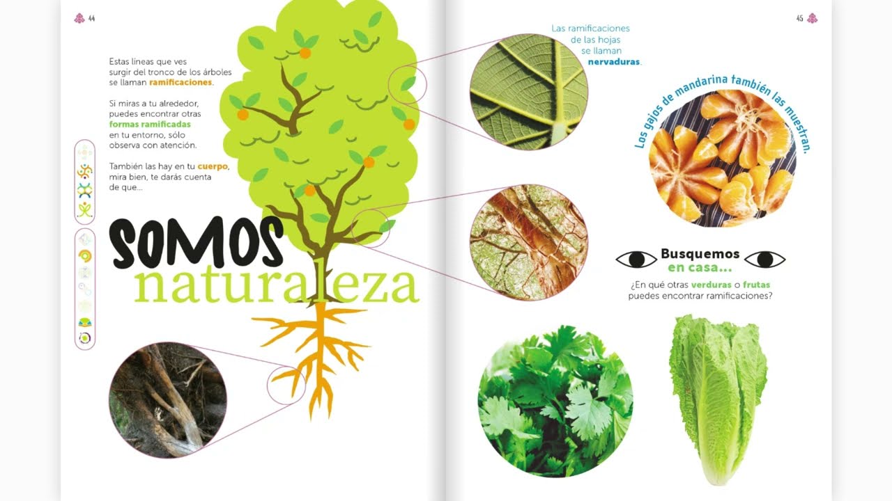 Somo Naturaleza: las ramificaciones
