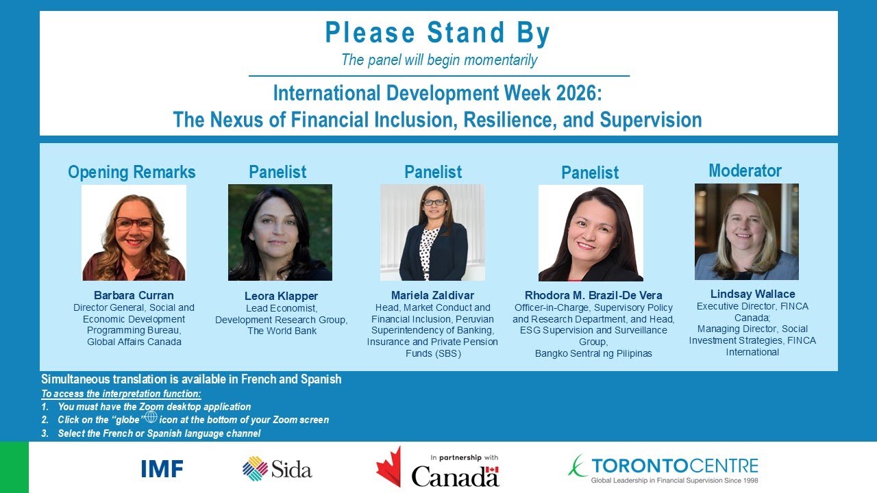 Virtual Executive Panel: The Nexus of Financial Inclusion, Resilience, and Supervision