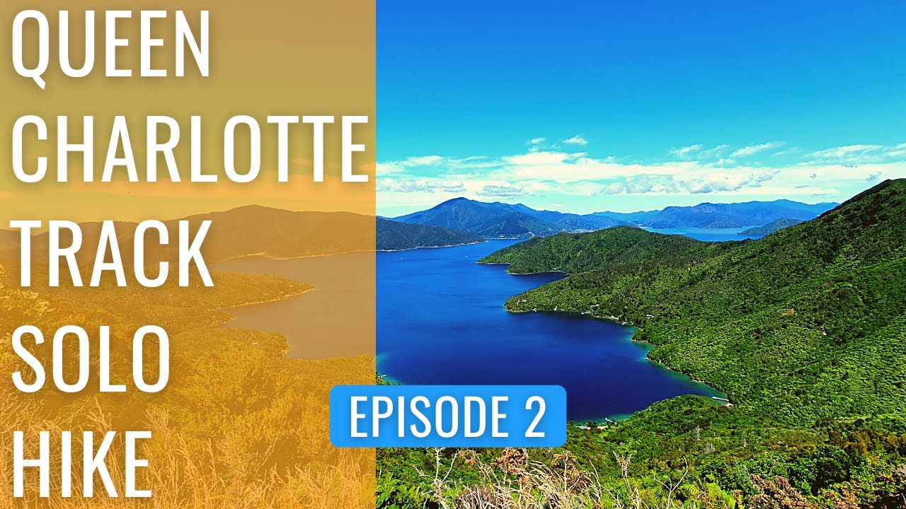 QUEEN CHARLOTTE TRACK NEW ZEALAND SOLO HIKE Ep2