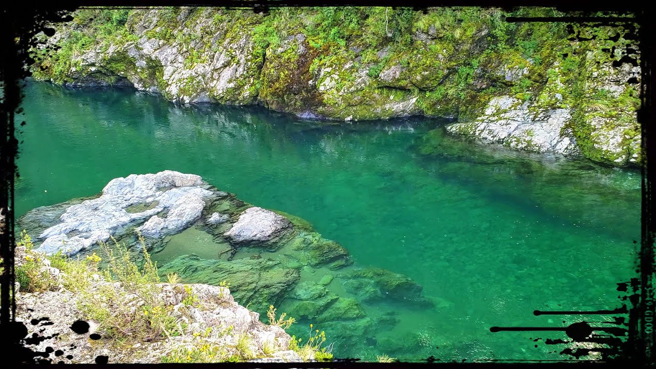Waterfalls and Cliff Jumps of the Pelorus Bridge Scenic Reserve 🇳🇿 New Zealand Roadtrip