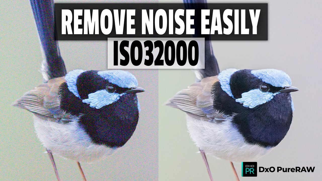 Fix High ISO Images Quickly with DXO PureRAW, One Click Solution That Works!!