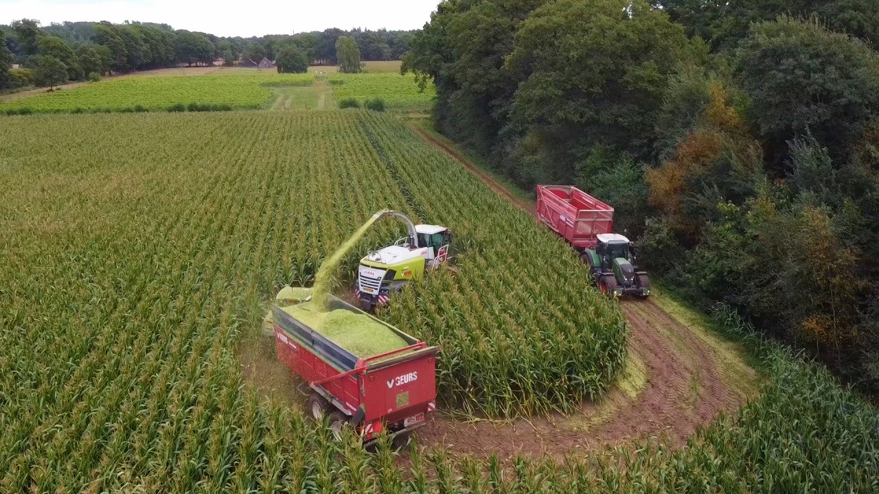2025 Geurs chopping corn