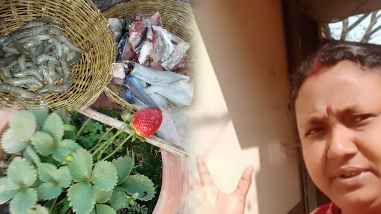 আজ নিরামিষ দিনে  ও কর্তা মশাই। তিন রকমের মাছ এনেছে 🦐🐟🐬 সবজি খেতে গিয়ে ও খালি হাতে ফিরে এলাম 