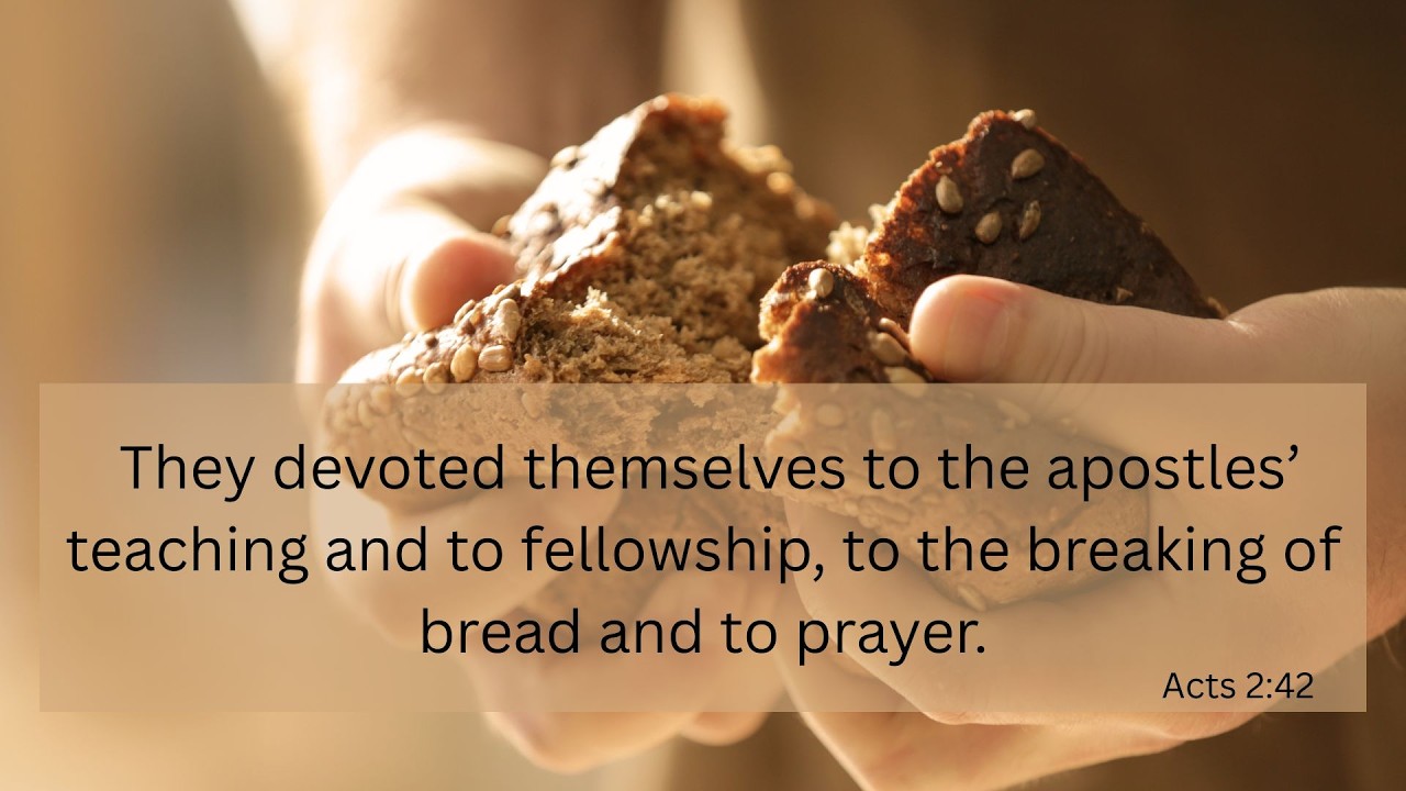 Worship and Grow Together Communion - Sunday 1st February 2026