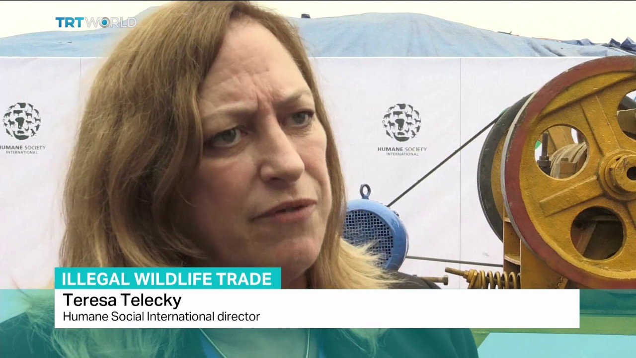 Vietnam tackles illegal wildlife trafficking