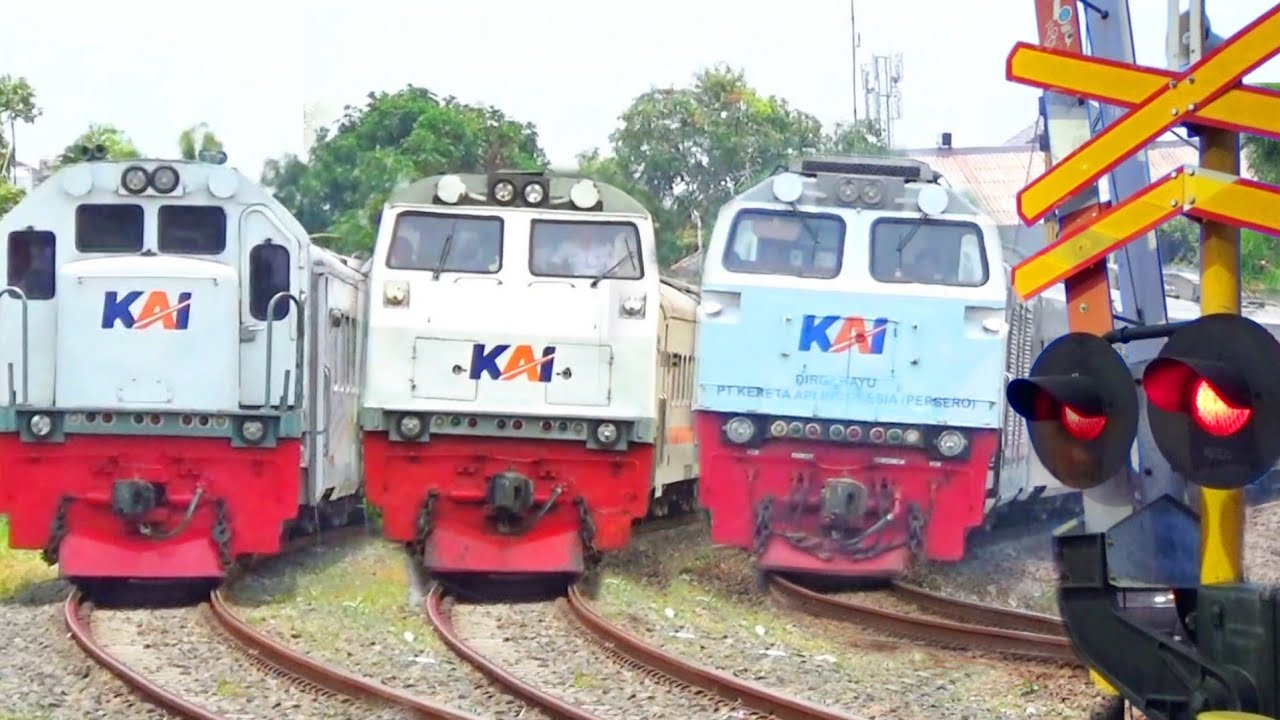 RAMAINYA Nonton 20 Kereta Api di Perlintasan JPL 213 Slerok Tegal | RAILWAY CROSSING 2