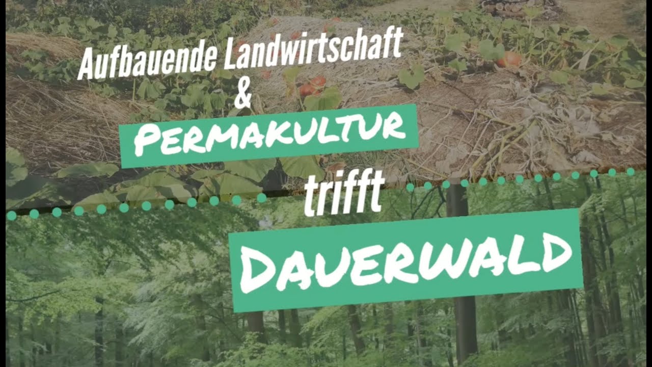 Vegetation zur Klimakühlung, Regenmacher & Wasserspeicher - Aufbauende Landwirtschaft & Dauerwald