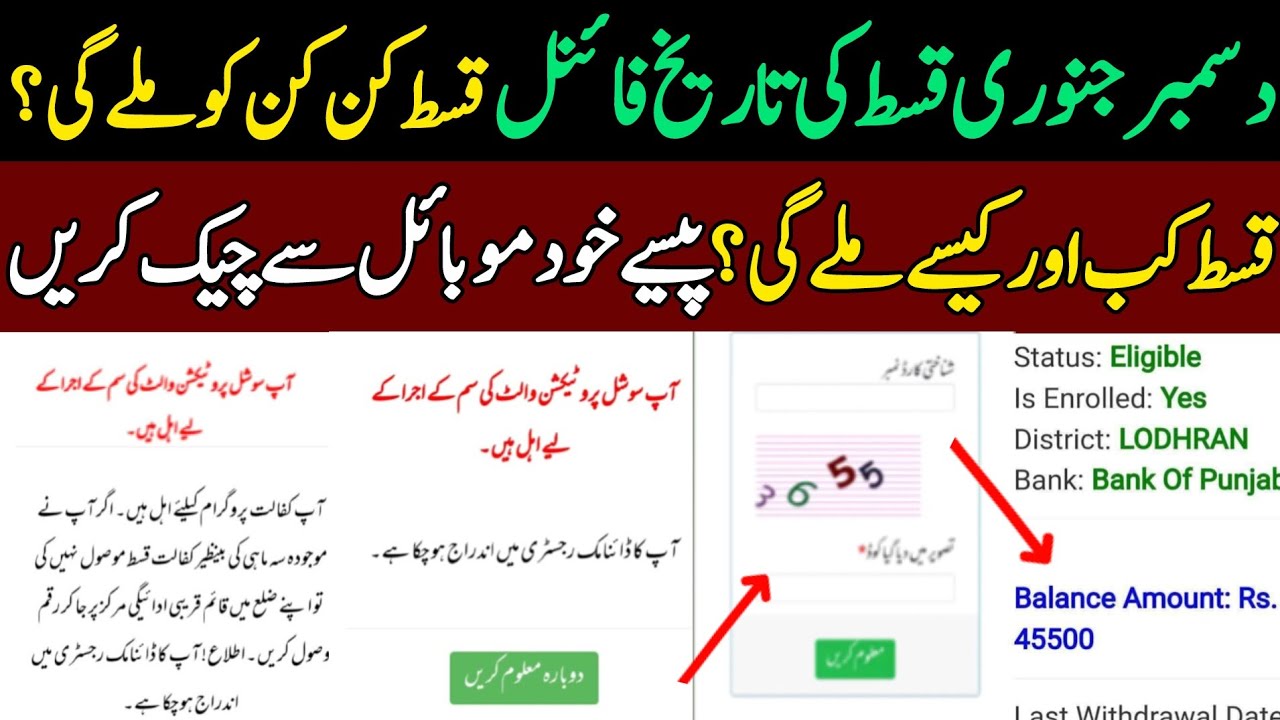 8171 portal update | Bisp Payment check by cnic | Bisp New Update 2026 | BISP new Qist | Benzeer 