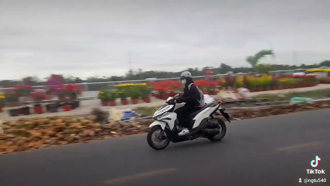 Bông hoa tết