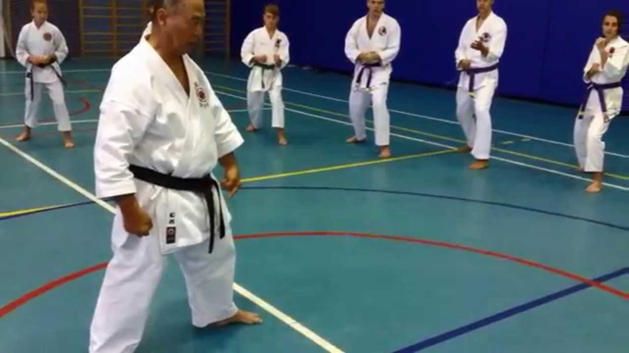 SEMINAR KUMITE SHIHAN FUNAKOSHI 2014