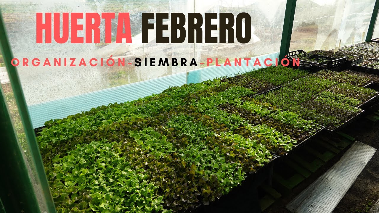 Febrero en la Huerta