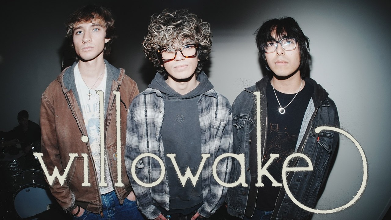 WILLOWAKE INTERVIEW YT