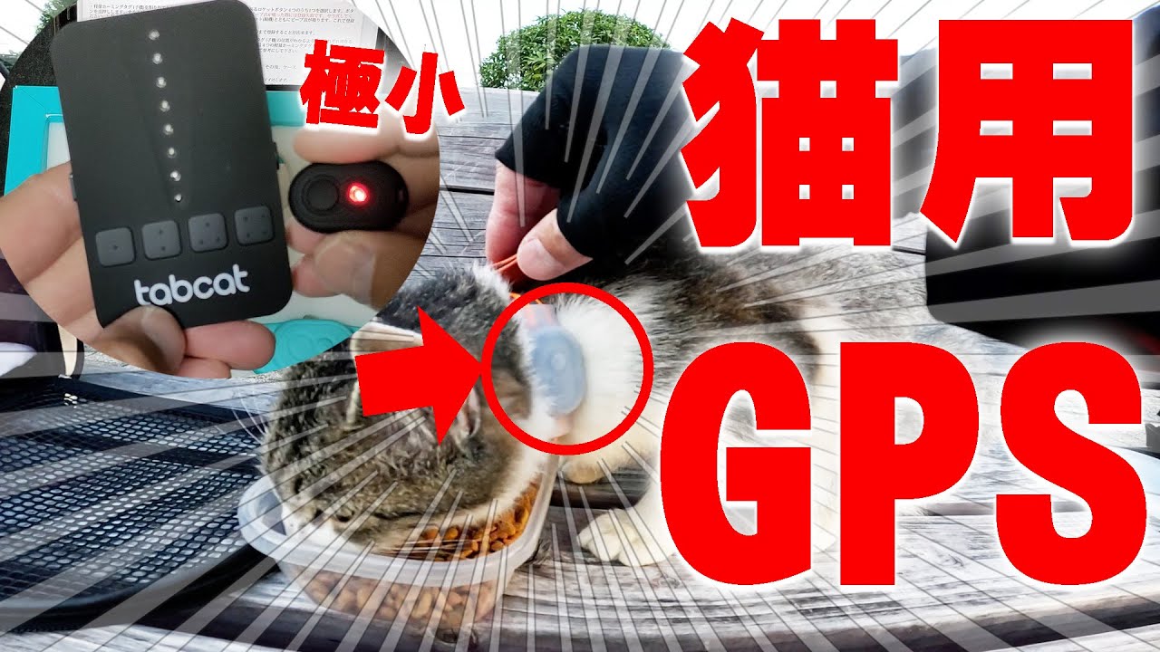 猫、ペット用GPSトラッカーの迷い解決！エアタグとの比較、やっと良い物に辿り着きました！【Tabcat v2】