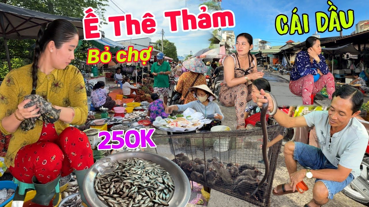 Ế Thê Thảm chợ Cái Dầu cũ bỏ đi hết - Chợ chuột cá linh non 250k mùa lũ 2025