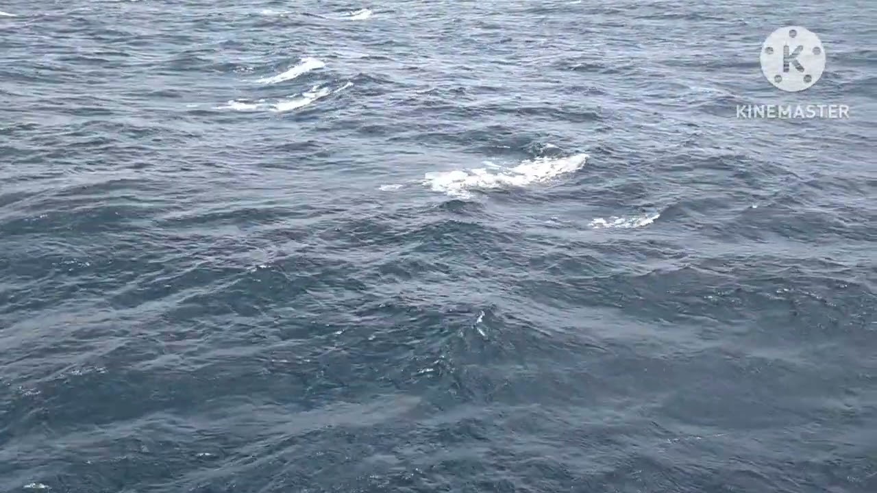 Ferry Trip From Caticlan Port To Batangas Port .