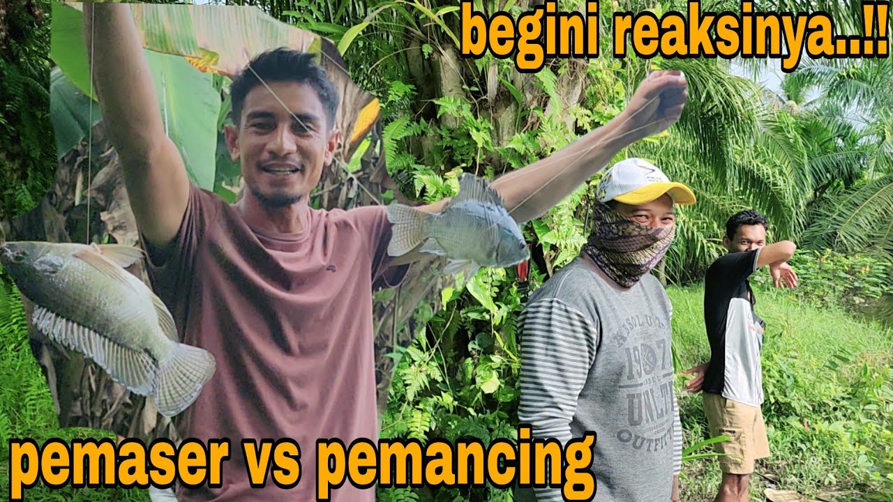 BEGINILAH KALAU MASER DI DEPAN PEMANCING