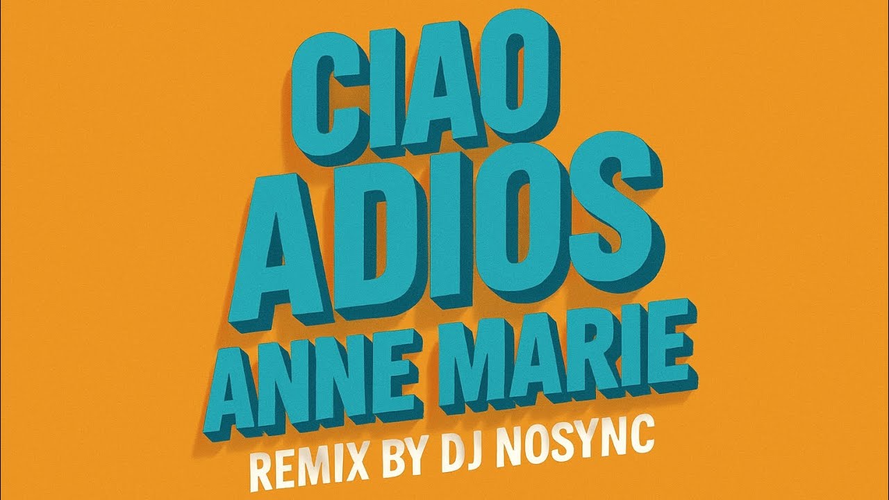 Ciao Adios - Anne Marie (Nosync Remix) 