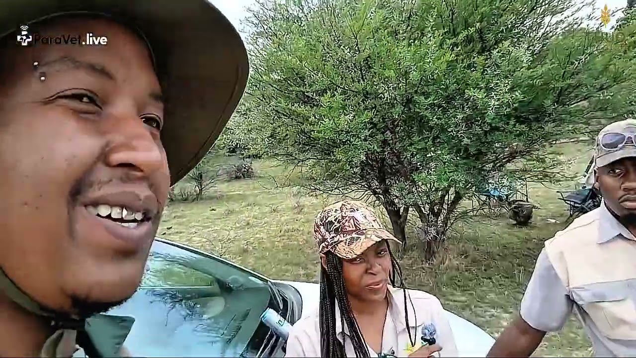 Episode 4