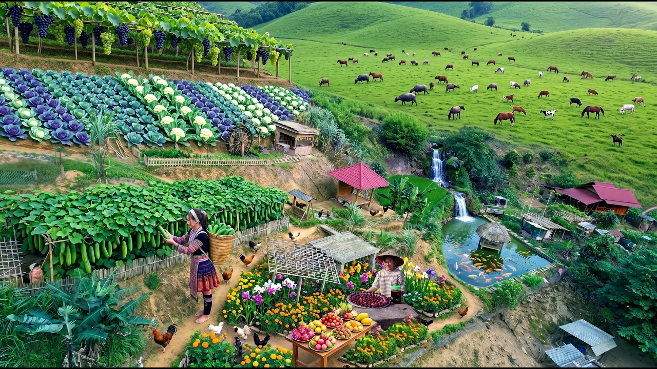 Living Alone in the Mountains&hellip; Huge Farm Harvest, Raising Animals & Natural Cooking | Off Grid Life