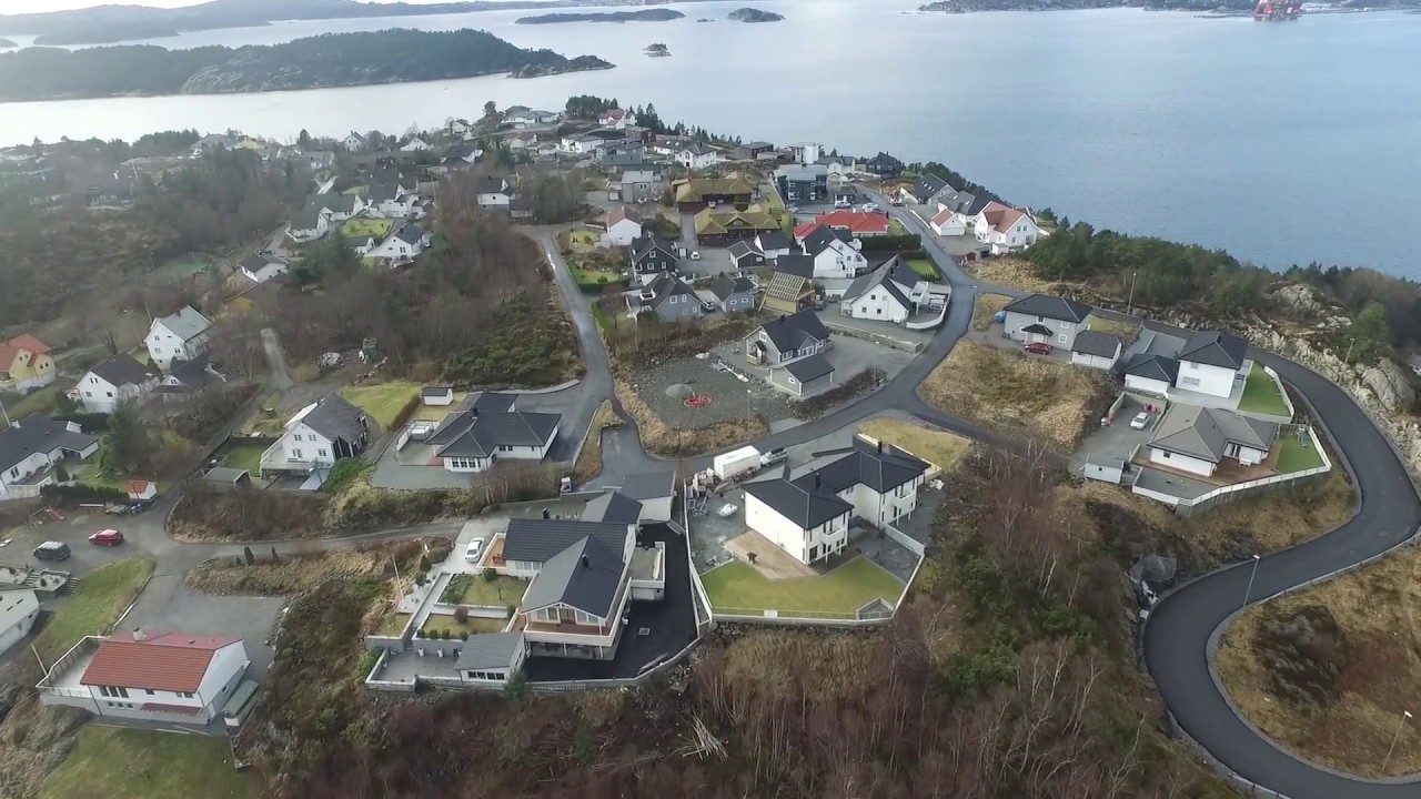 Eagle took my drone!!!