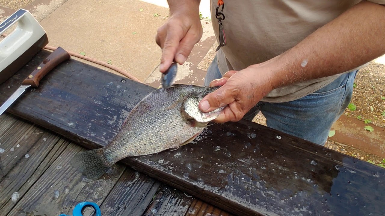 How I clean crappie