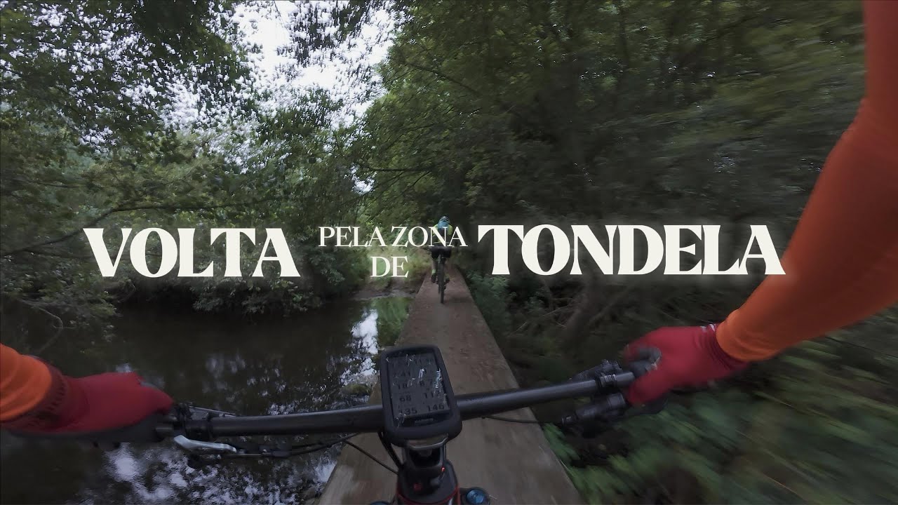 Pela Zona de Tondela