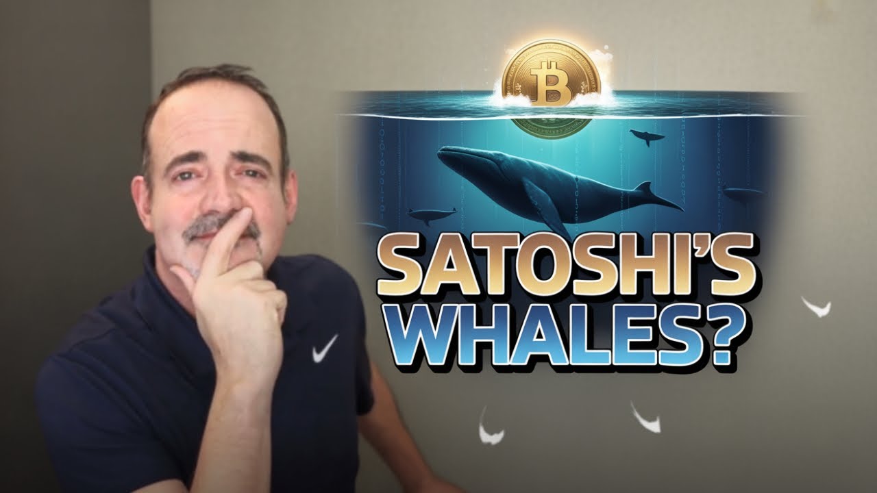 Who Really Owns Bitcoin? The Untold Secrets of Satoshi&rsquo;s Whales