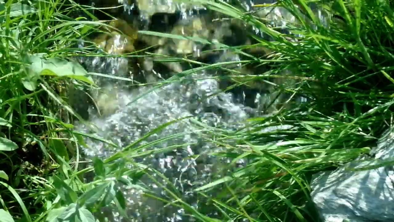 Eszelős meszelős: Hatrétegű kánon № 2/6.