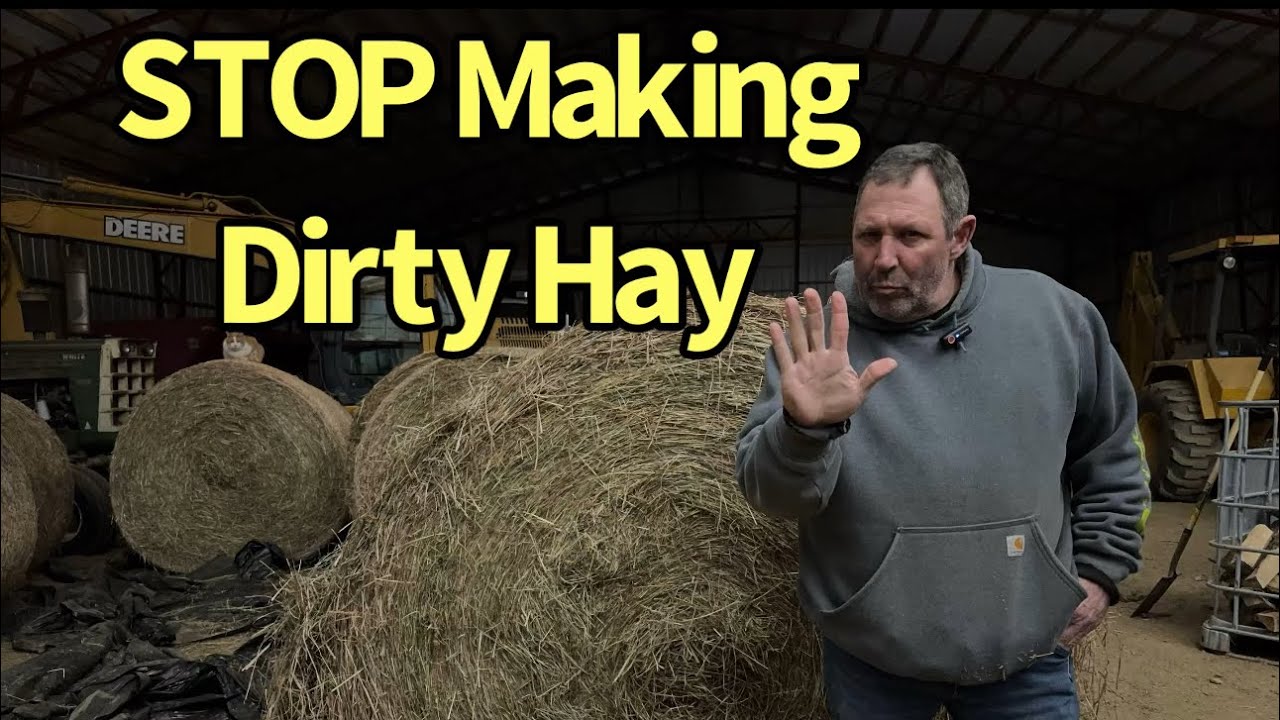 STOP Cutting Your Hay This Low! The Hidden Cost of Dirt and Dust