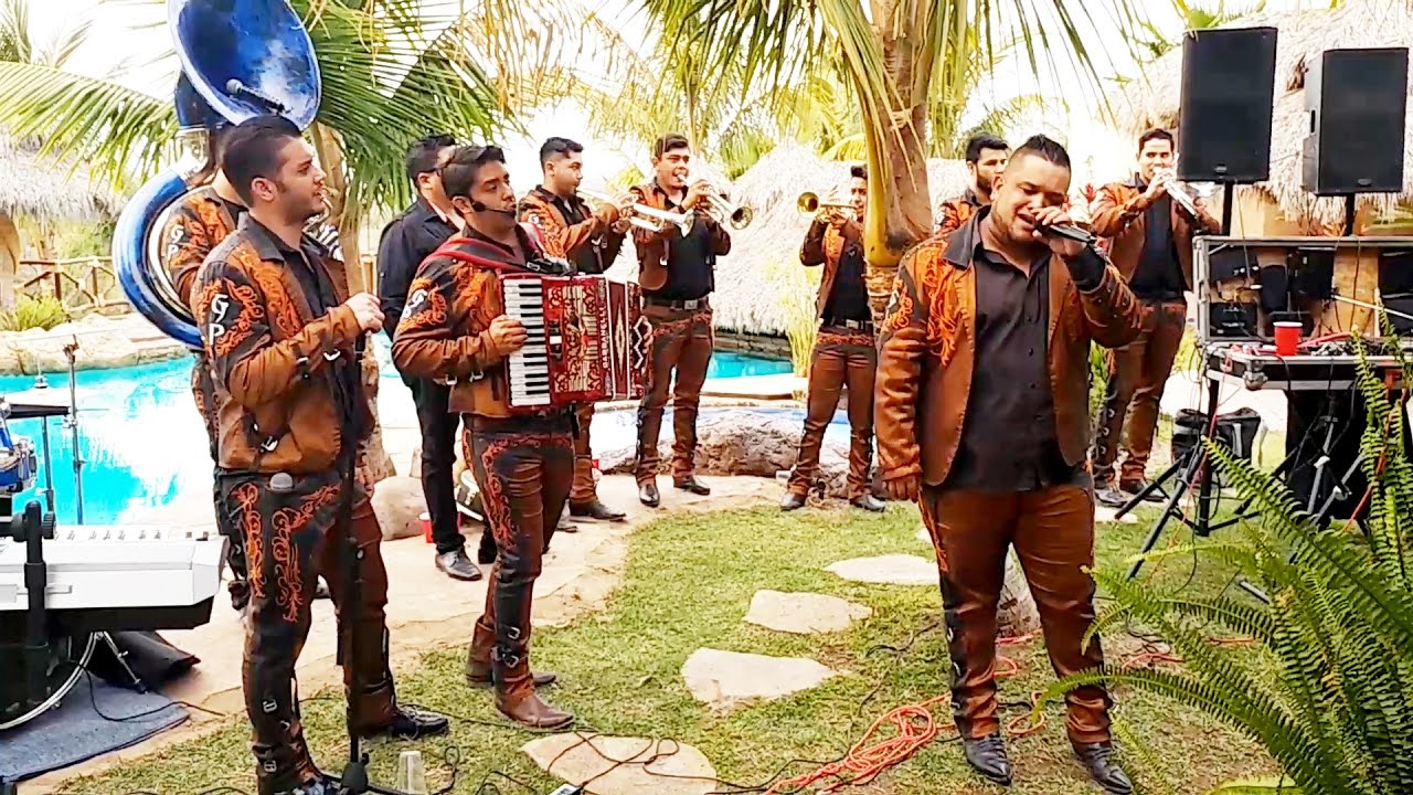 MARIACHI BANDA SHOW EN VIVO (EL GRAN PROYECTO)