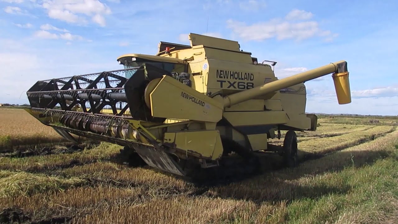 Moisson du riz en Camargue - 2020 / partie 2