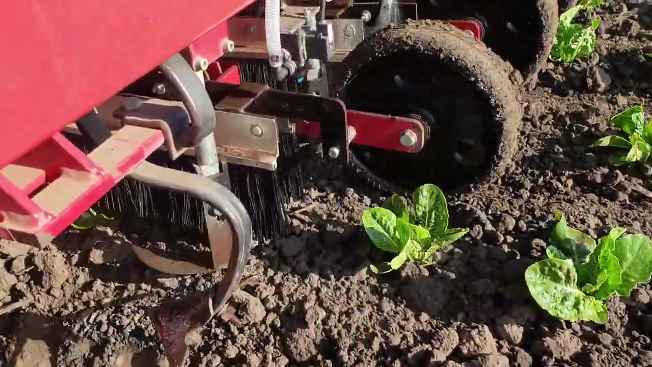 Steketee IC Weeder