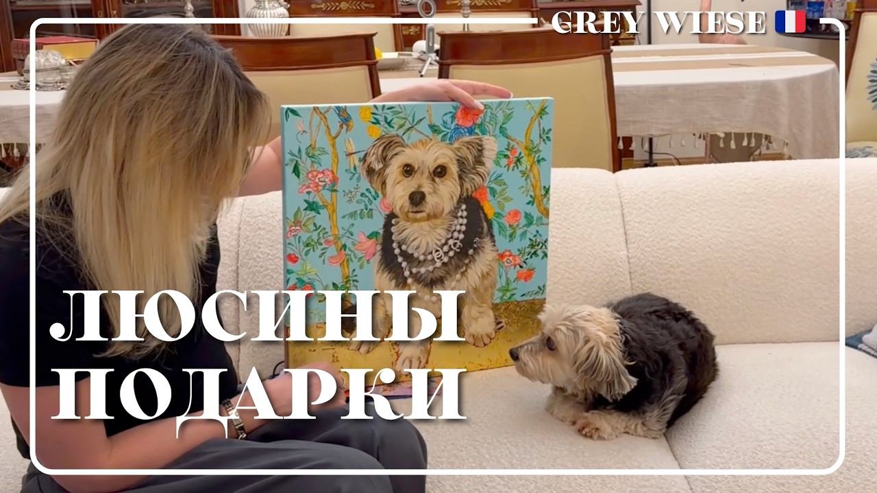 Что прислали Люсе? 🐾