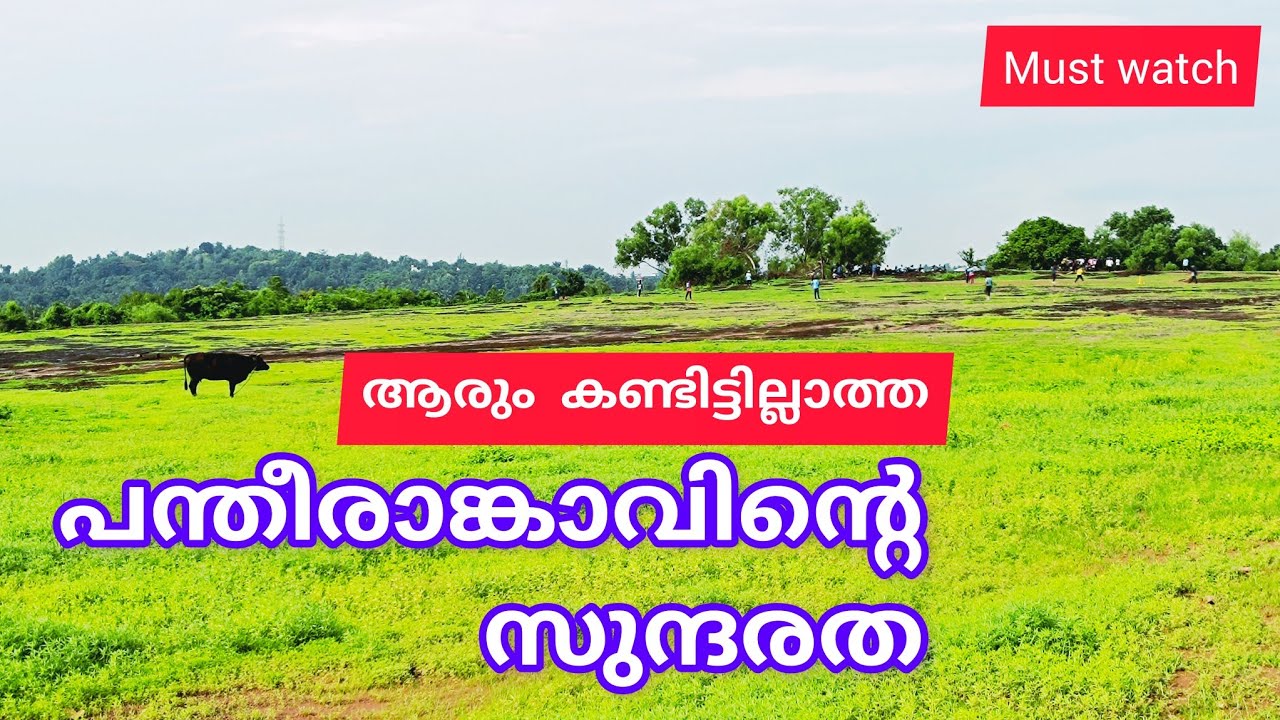 പന്തീരാങ്കാവ് ഹൈസ്കൂൾ കുന്ന് Pantheerankav highschool kunnu #peekeyentertainment #pantheerankavu