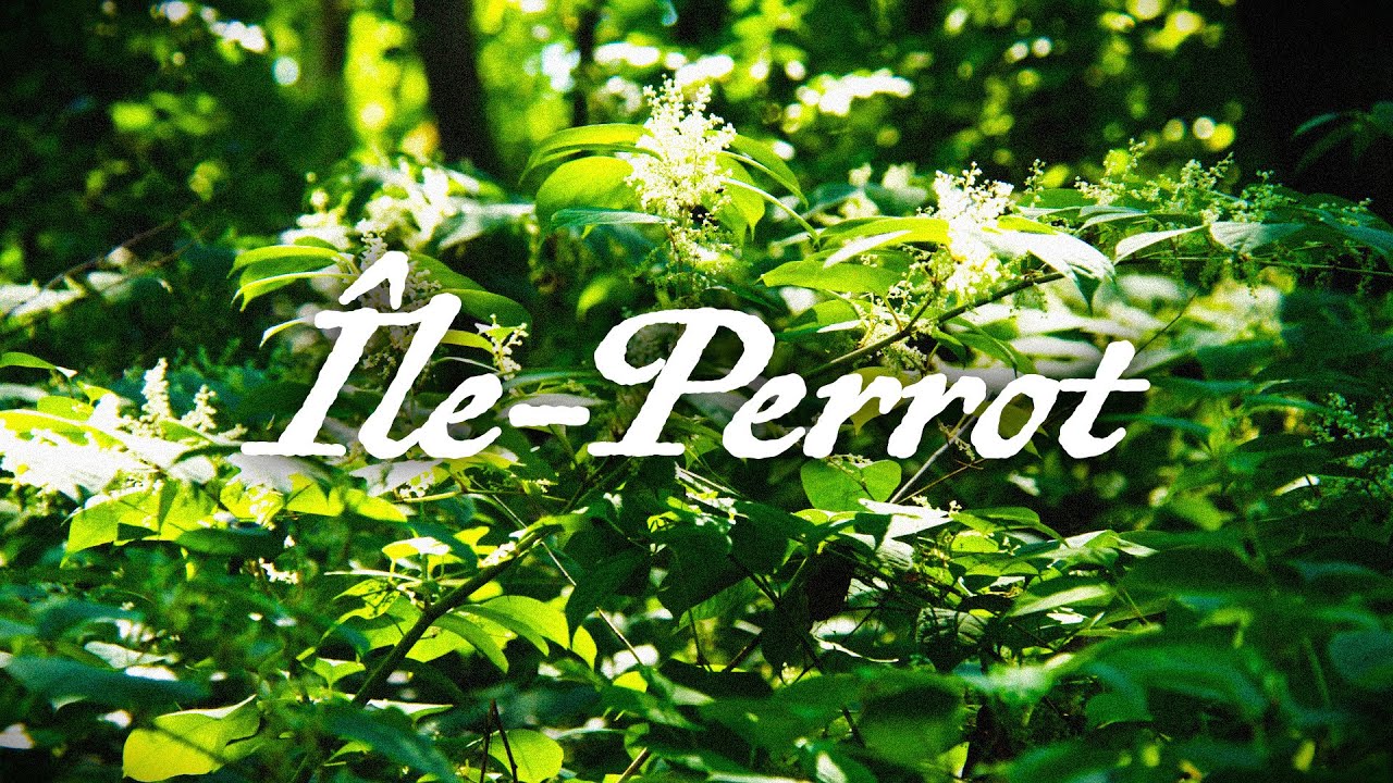 &Icirc;le-Perrot | Entreville