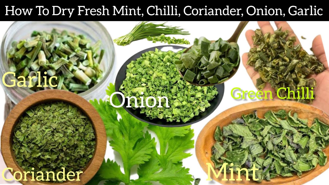 How To Dry & Save Fresh Mint , Chilli, Coriander, Onion & Garlic ,Herbs. By  Your Perfect Plate