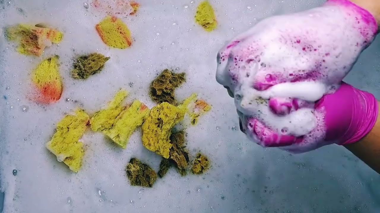 asmr worn-out sponges last squeeze and rip