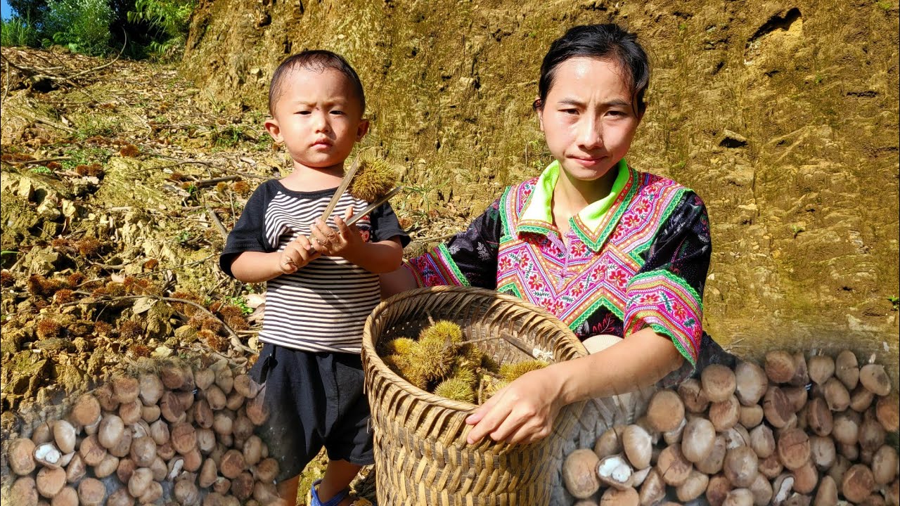 Single mother, 17 years old, eats chestnuts instead of rice, Ly Tieu Anh