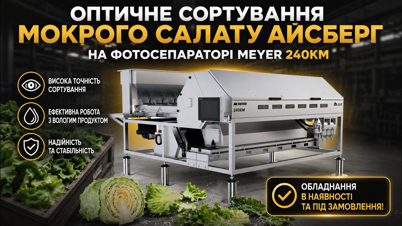 Сортування мокрого салату Айсберг/// Фотосепаратор Meyer 240KM