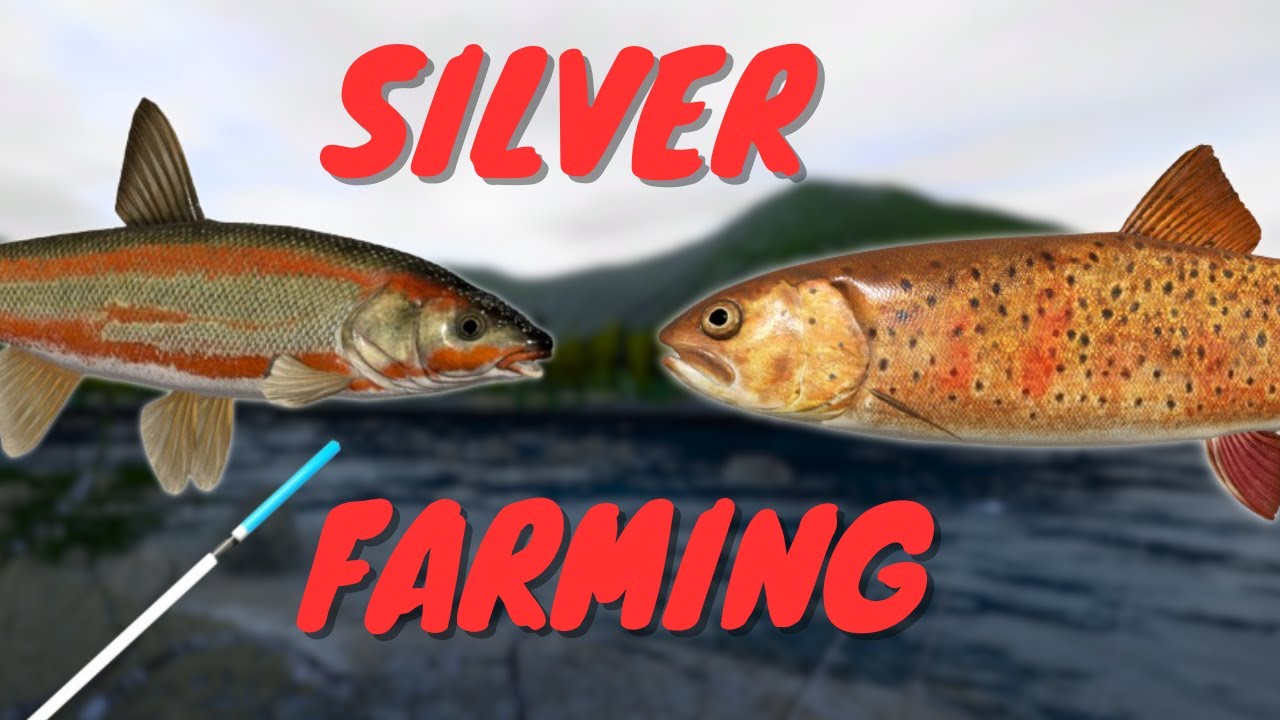 FARMING SILVER IN YAMA RIVER! 900 IN AN HOUR! #857 Russian fishing 4