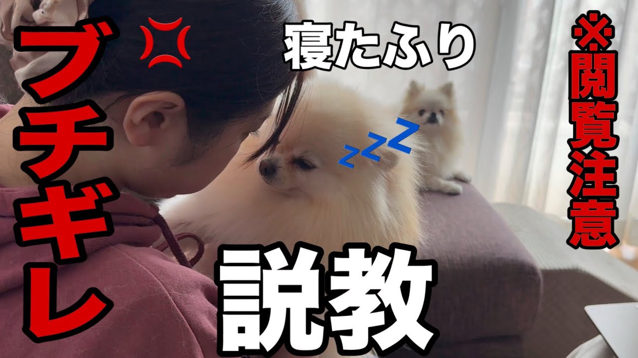 可哀想だと思う方は見ないでください。