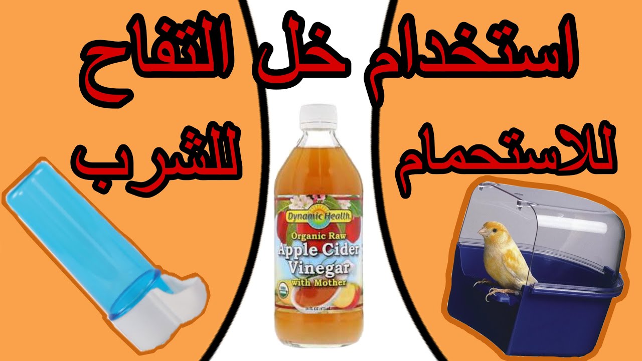 طريقة استخدام خل التفاح الطبيعي للطيور