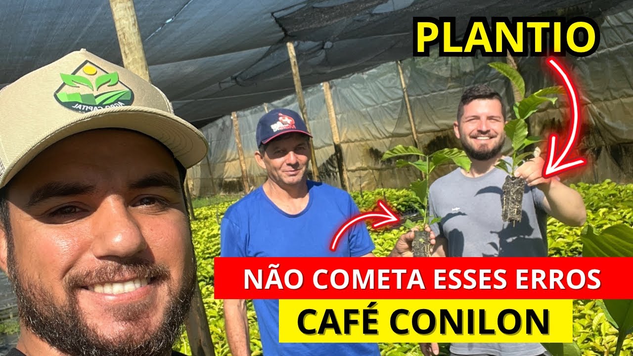 N&Atilde;O PLANTE CAF&Eacute; CONILON ANTES DE VER ISSO! 🚨 Erros FATAIS no Plantio [Viveiro 259]