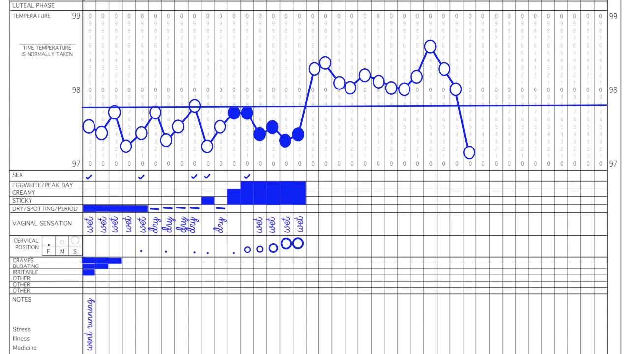 Filling out Your Chart with the Fertility Awareness Method